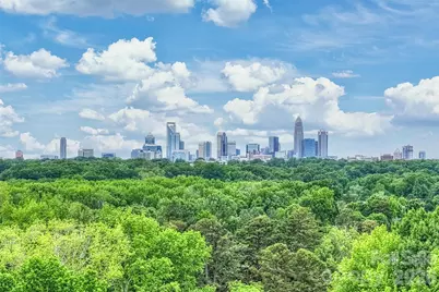 420 Grey Reagan Trail, Charlotte, NC 28211 - Photo 31