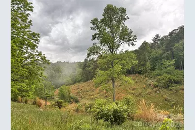 191 Posey Griffin Drive, Mars Hill, NC 28754 - Photo 35