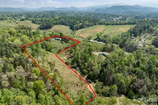 191 Posey Griffin Dr, Mars Hill, NC 28754 - Photo 21