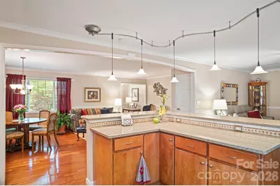 12 Steeplechase Court, Hendersonville, NC 28791 - Photo 15