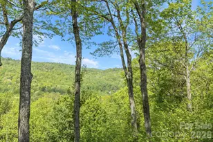8 Spring Ridge Ln, Hendersonville, NC 28739 - Photo 7