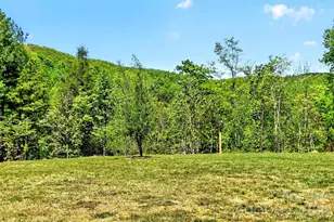 50 Glass Fls Trl, Black Mountain, NC 28711 - Photo 7