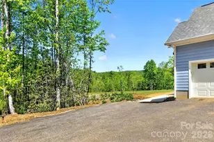 50 Glass Fls Trl, Black Mountain, NC 28711 - Photo 3