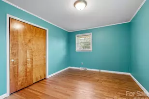 159 Big Island Rd, Forest City, NC 28043 - Photo 33
