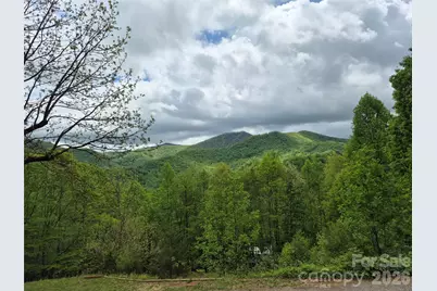 298 Timbuktu Road, Sylva, NC 28779 - Photo 19
