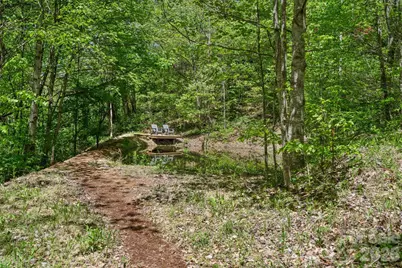 144 Pegg Road, Barnardsville, NC 28709 - Photo 35
