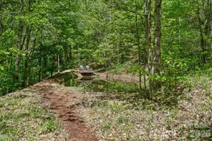 144 Pegg Rd, Barnardsville, NC 28709 - Photo 35