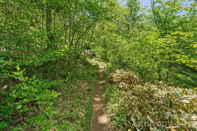 144 Pegg Road, Barnardsville, NC 28709 - Photo 37