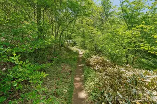 144 Pegg Rd, Barnardsville, NC 28709 - Photo 37