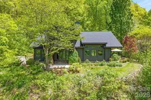 144 Pegg Rd, Barnardsville, NC 28709 - Photo 45