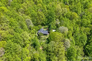 144 Pegg Rd, Barnardsville, NC 28709 - Photo 43