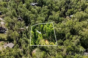 110 Leisure Mountain Rd, Asheville, NC 28804 - Photo 5