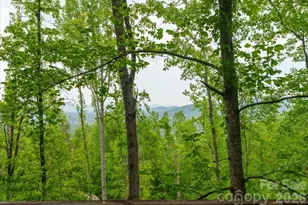 110 Leisure Mountain Rd, Asheville, NC 28804 - Photo 9