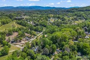 285 Dix Creek N 1 Rd, Leicester, NC 28748 - Photo 43