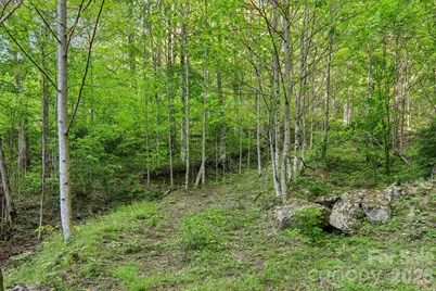 47 Lo Cove, Maggie Valley, NC 28751 - Photo 35
