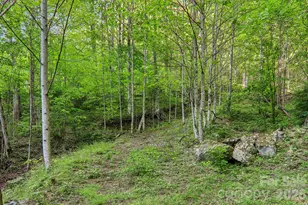 47 Lo Cove, Maggie Valley, NC 28751 - Photo 35