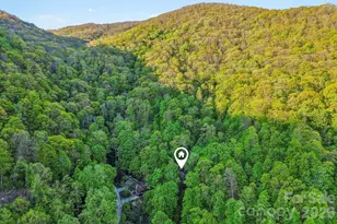 47 Lo Cove, Maggie Valley, NC 28751 - Photo 7