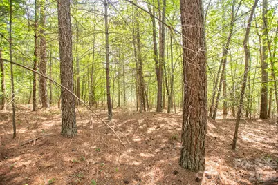 1518 W Paradise Harbor Drive, Connelly Springs, NC 28612 - Photo 5