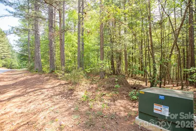1518 W Paradise Harbor Drive, Connelly Springs, NC 28612 - Photo 7