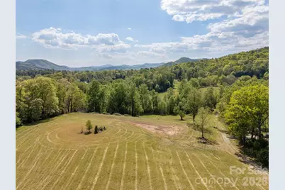 154 High Pasture Trail, Mills River, NC 28759 - Photo 15