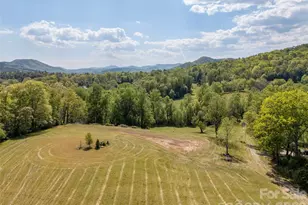 154 High Pasture Trail, Mills River, NC 28759 - Photo 15