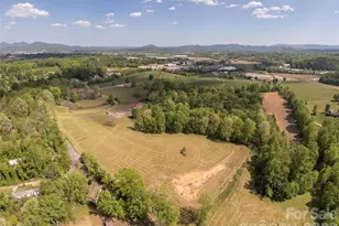 154 High Pasture Trail, Mills River, NC 28759 - Photo 31