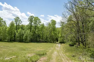 154 High Pasture Trail, Mills River, NC 28759 - Photo 19
