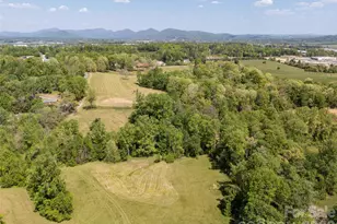 154 High Pasture Trail, Mills River, NC 28759 - Photo 29
