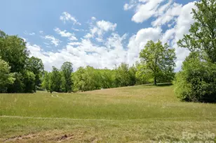154 High Pasture Trail, Mills River, NC 28759 - Photo 17