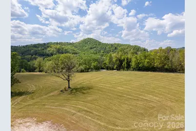 154 High Pasture Trail, Mills River, NC 28759 - Photo 9