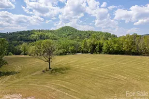 154 High Pasture Trail, Mills River, NC 28759 - Photo 9