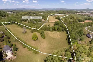 154 High Pasture Trail, Mills River, NC 28759 - Photo 41