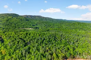 451 Signal Tree Rd, Deep Gap, NC 28618 - Photo 23