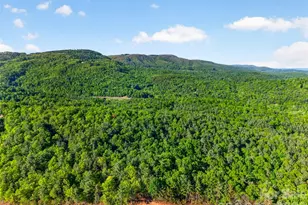 451 Signal Tree Rd, Deep Gap, NC 28618 - Photo 21