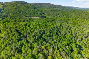 451 Signal Tree Rd, Deep Gap, NC 28618 - Photo 25
