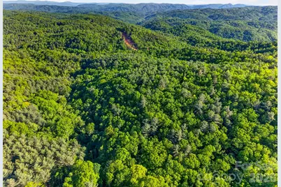 451 Signal Tree Road, Deep Gap, NC 28618 - Photo 3