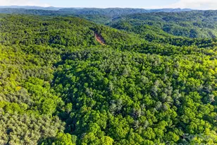 451 Signal Tree Rd, Deep Gap, NC 28618 - Photo 3