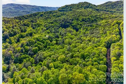 451 Signal Tree Road, Deep Gap, NC 28618 - Photo 1