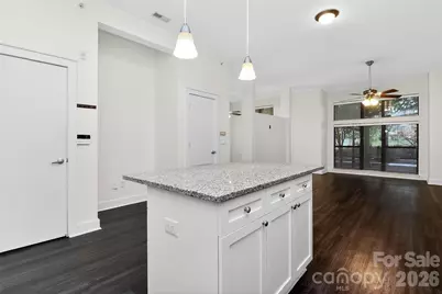 716 N Davidson Street, Charlotte, NC 28202 - Photo 11