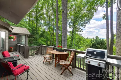 107 Buffalo Trail, Asheville, NC 28805 - Photo 11