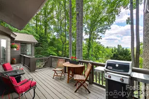 107 Buffalo Trail, Asheville, NC 28805 - Photo 11