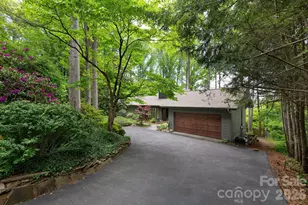 107 Buffalo Trail, Asheville, NC 28805 - Photo 3