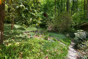 107 Buffalo Trail, Asheville, NC 28805 - Photo 45