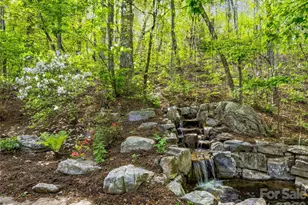 17 Bohemian Ln, Asheville, NC 28805 - Photo 41
