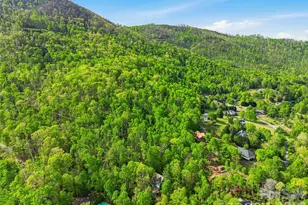 17 Bohemian Ln, Asheville, NC 28805 - Photo 3