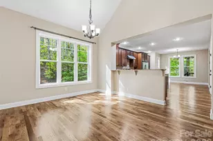 17 Bohemian Ln, Asheville, NC 28805 - Photo 9