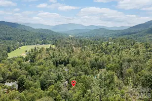 17 Bohemian Ln, Asheville, NC 28805 - Photo 45