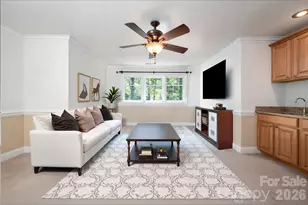 17 Bohemian Ln, Asheville, NC 28805 - Photo 23