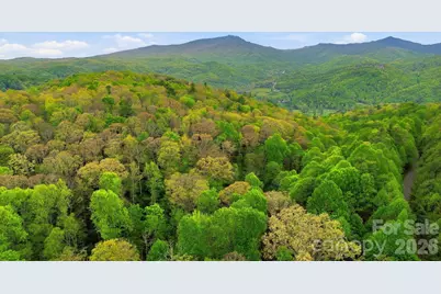 401 Saratoga None, Boone, NC 28607 - Photo 31