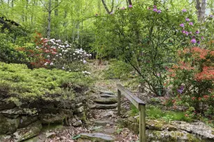 401 Saratoga None, Boone, NC 28607 - Photo 27